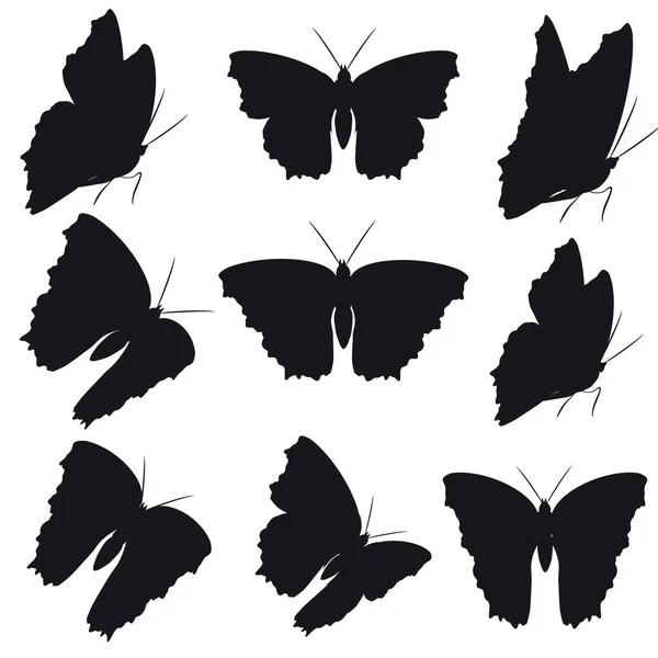 Carte Postale Avec Collection Papillons Volants Noirs Isolés Sur Fond — Image vectorielle