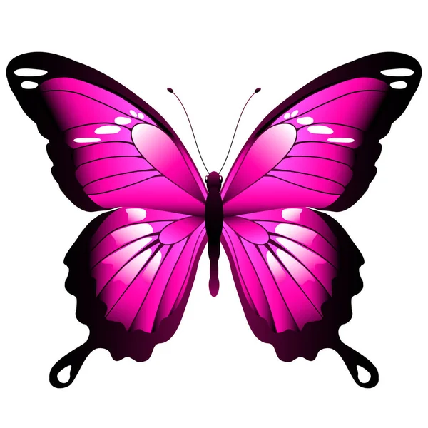 Farfalla Rosa Brillante Isolata Sfondo Bianco Vettore Illustrazione — Vettoriale Stock