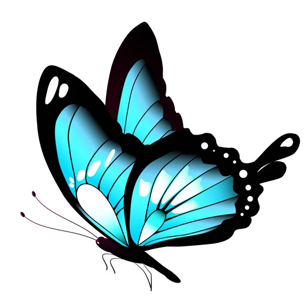Blauer Schmetterling Isoliert Auf Weißem Hintergrund Vektor Illustration — Stockvektor