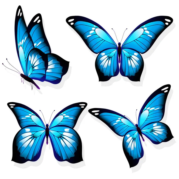 Postal Card Collection Colorful Flying Butterflies Isolated White Background Vector — Stock Vector