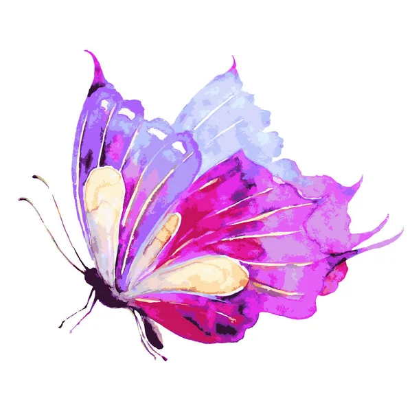 Bela Borboleta Aquarela Rosa Isolado Fundo Branco Vetor Ilustração —  Vetores de Stock