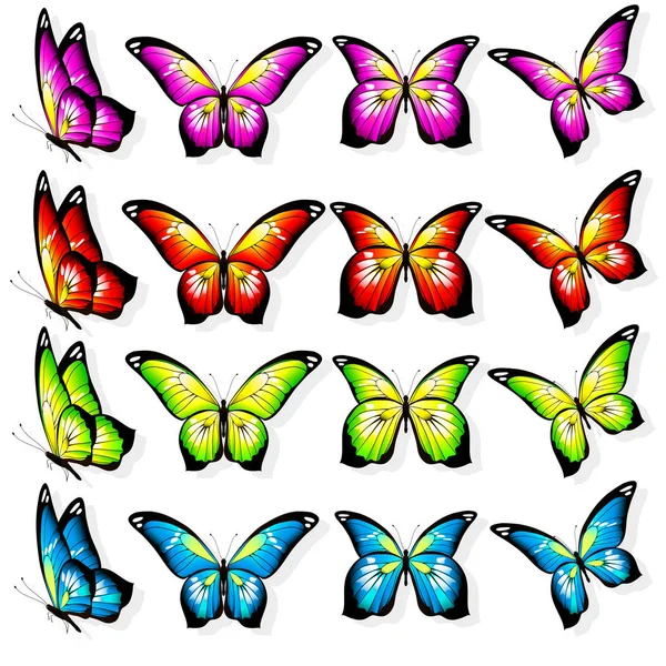 Postal Card Collection Colorful Flying Butterflies Isolated White Background Vector — Stock Vector