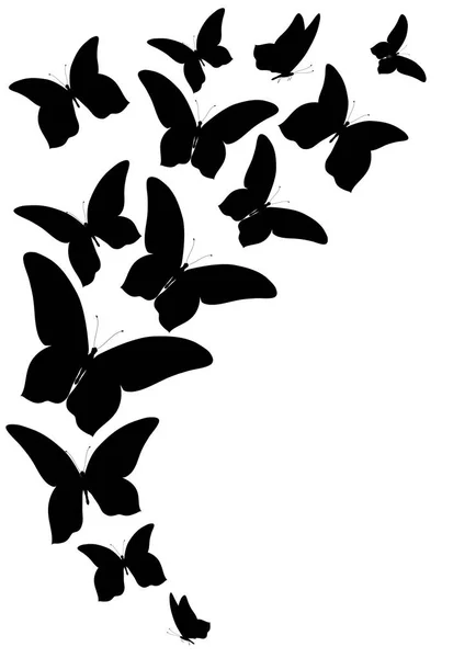 Carte Postale Avec Collection Papillons Volants Noirs Isolés Sur Fond — Image vectorielle