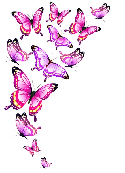 Post Kort Med Samling Färgglada Flygande Fjärilar Isolerad Vit Bakgrund — Stock vektor