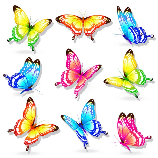 Pocztówka Kolekcji Kolorowe Motyle Latające Białym Tle Białym Tle Wektor — Wektor stockowy