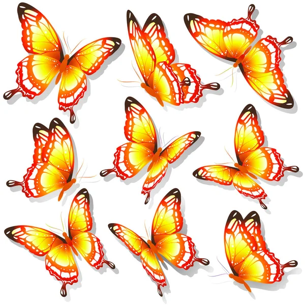 Beyaz Arka Plan Vektör Illüstrasyon Izole Renkli Uçan Kelebekler Koleksiyonu — Stok Vektör