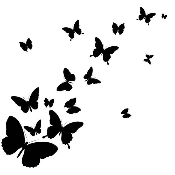 邮政卡与收集黑色飞蝶分离在白色背景 — 图库矢量图片
