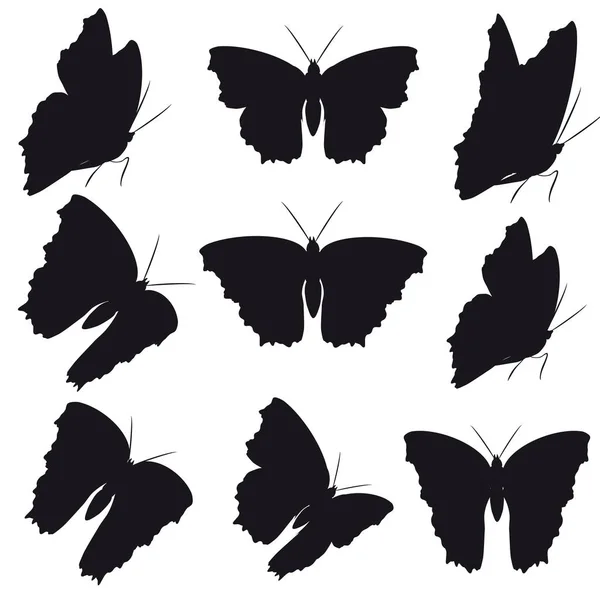 Postal Card Collection Black Flying Butterflies Isolated White Background Vector — Stock Vector