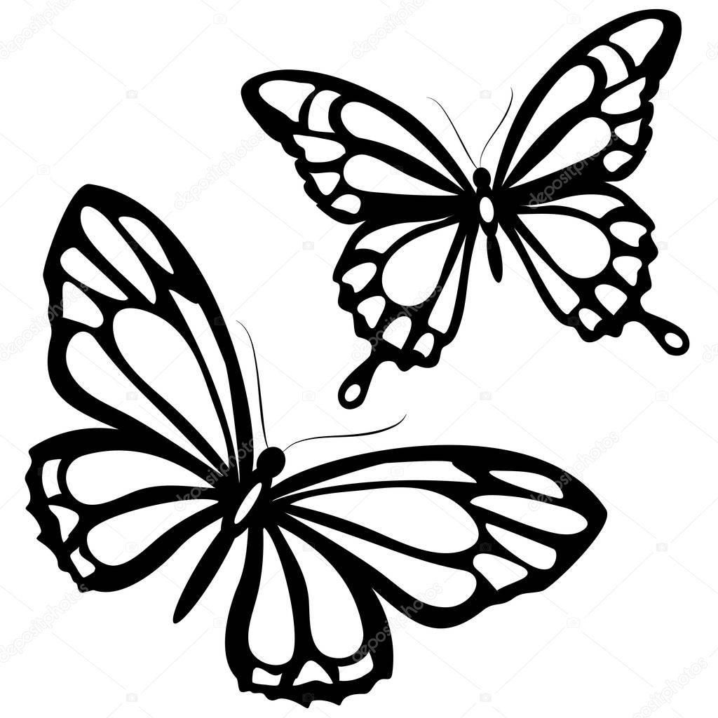 black butterflies imprints isolated on white background, vector, illustration