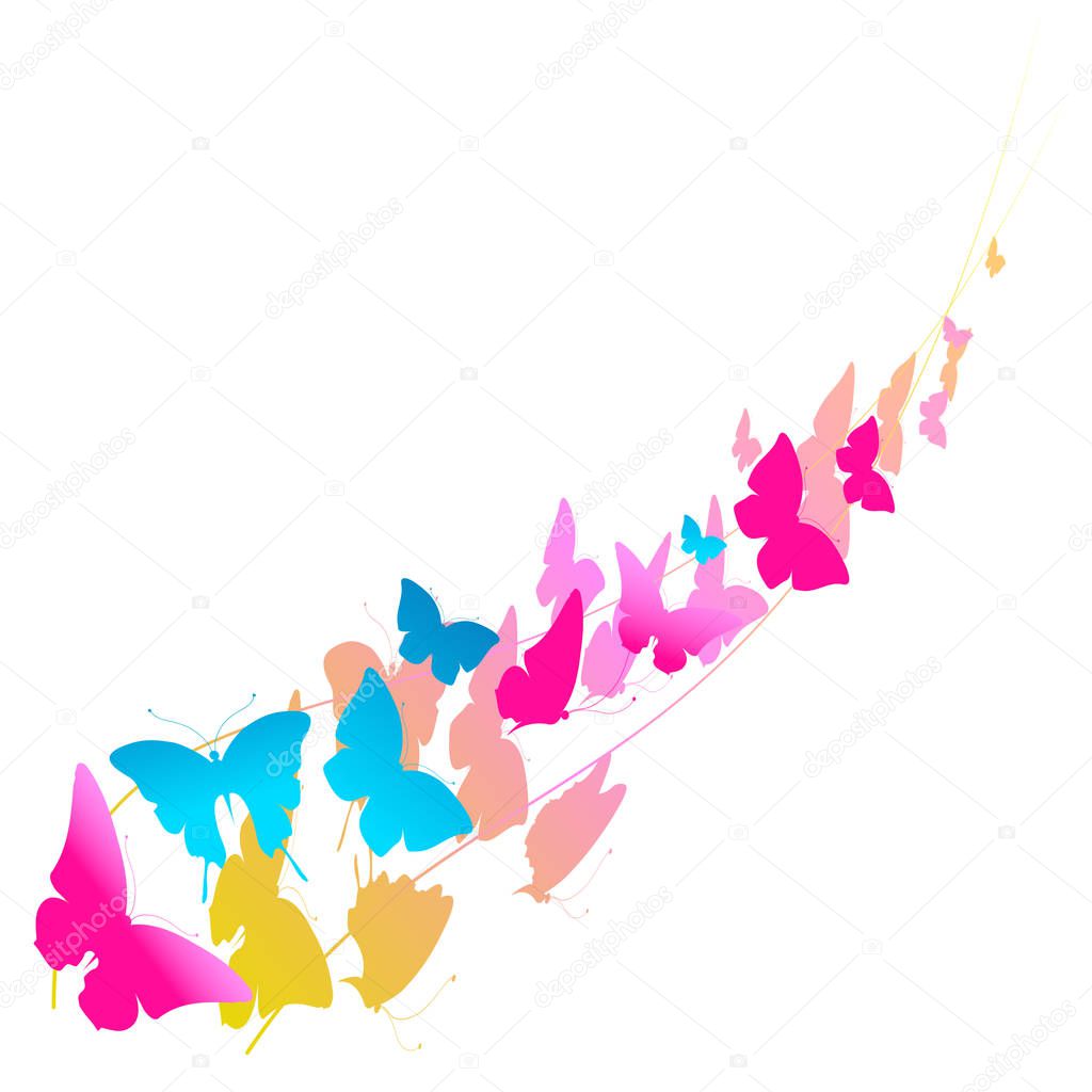 postal card with collection of colorful flying butterflies isolated on white background, vector, illustration