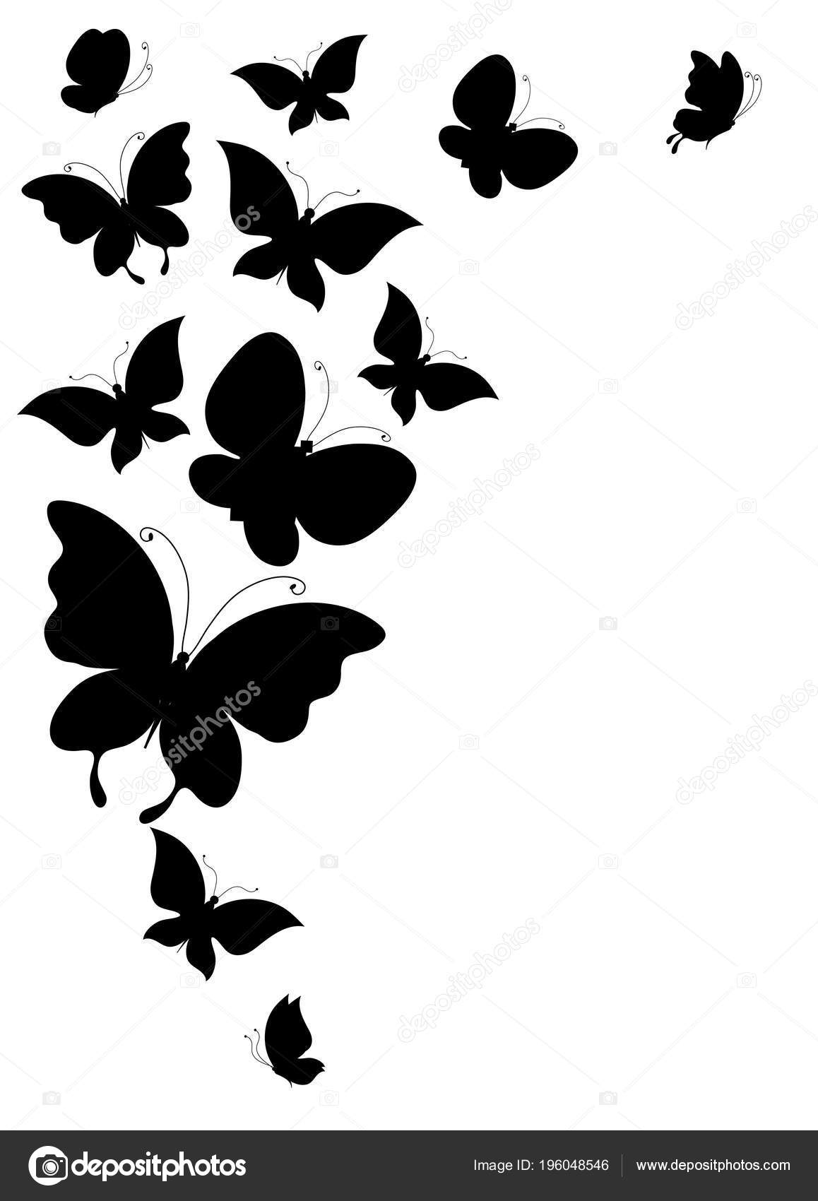 Postal Card Collection Black Flying Butterflies Isolated White