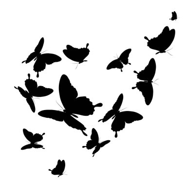 siyah beyaz arka plan, vektör, illüstrasyon izole kelebekler uçan koleksiyonu ile posta kartı