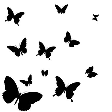 siyah beyaz arka plan, vektör, illüstrasyon izole kelebekler uçan koleksiyonu ile posta kartı