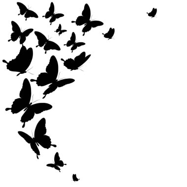 siyah beyaz arka plan, vektör, illüstrasyon izole kelebekler uçan koleksiyonu ile posta kartı