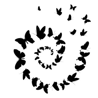 Beyaz arka plan, vektör, illüstrasyon izole sarmal şeklinde Siyah kelebekler uçan