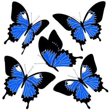 Beyaz arka plan, vektör, illüstrasyon izole renkli uçan kelebekler koleksiyonu ile posta kartı