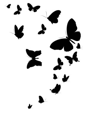 siyah beyaz arka plan, vektör, illüstrasyon izole kelebekler uçan koleksiyonu ile posta kartı