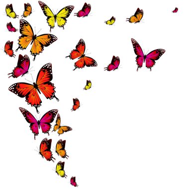 Beyaz arka plan, vektör, illüstrasyon izole renkli uçan kelebekler koleksiyonu ile posta kartı