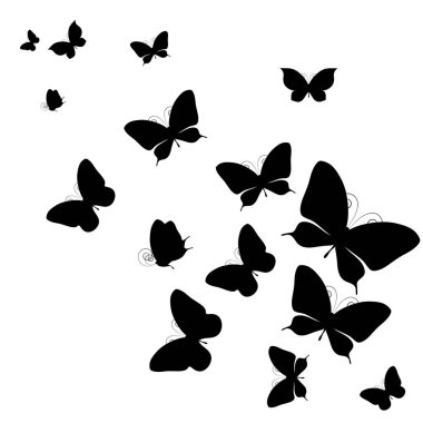 siyah beyaz arka plan, vektör, illüstrasyon izole kelebekler uçan koleksiyonu ile posta kartı