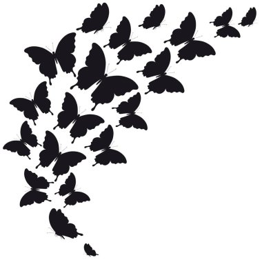 siyah beyaz arka plan, vektör, illüstrasyon izole kelebekler uçan koleksiyonu ile posta kartı