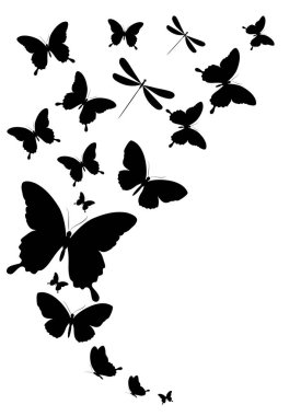 siyah beyaz arka plan, vektör, illüstrasyon izole Yusufçuk ile kelebekler uçan koleksiyonu ile posta kartı