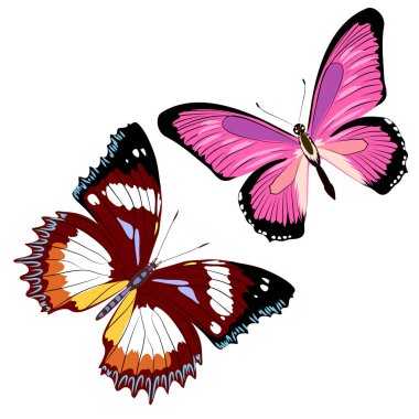 Beyaz arka plan, vektör, illüstrasyon izole renkli uçan kelebekler koleksiyonu ile posta kartı