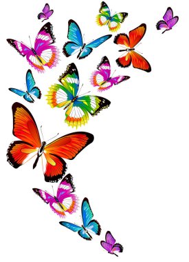 Beyaz arka plan, vektör, illüstrasyon izole renkli uçan kelebekler koleksiyonu ile posta kartı