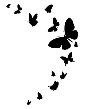 siyah beyaz arka plan, vektör, illüstrasyon izole kelebekler uçan koleksiyonu ile posta kartı