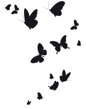 siyah beyaz arka plan, vektör, illüstrasyon izole kelebekler uçan koleksiyonu ile posta kartı