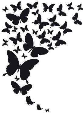 siyah beyaz arka plan, vektör, illüstrasyon izole kelebekler uçan koleksiyonu ile posta kartı