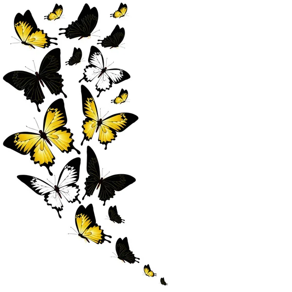 Post Kaart Met Collectie Van Zwart Geel Vliegen Vlinders Geïsoleerd — Stockvector