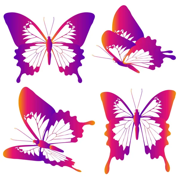 Postkarte Mit Sammlung Von Bunten Fliegenden Schmetterlingen Isoliert Auf Weißem — Stockvektor