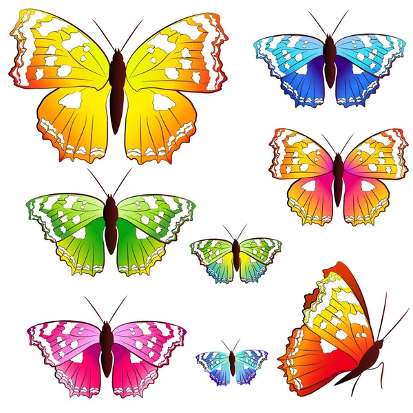 Почтовая Открытка Коллекцией Красочных Летающих Бабочек Выделенных Белом Фоне Вектор — стоковый вектор