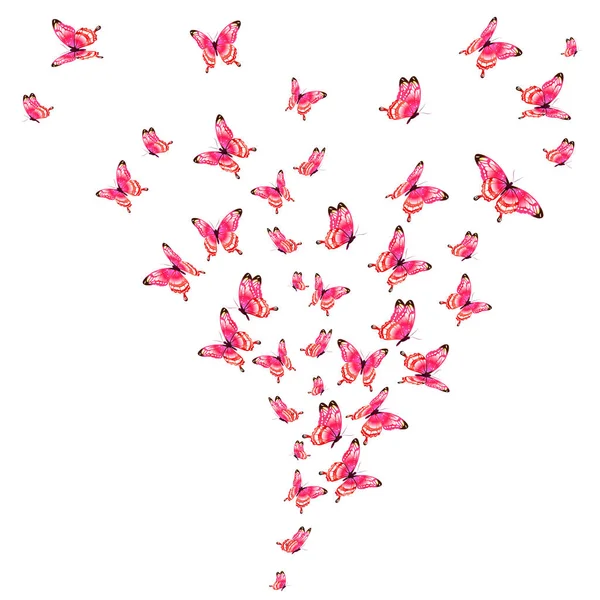 Valentin Üdvözlőlap Rózsaszín Pillangók Szív Vektor Ábra Alakja — Stock Vector