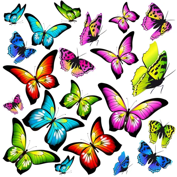 Carte Postale Avec Collection Papillons Volants Colorés Isolés Sur Fond — Image vectorielle