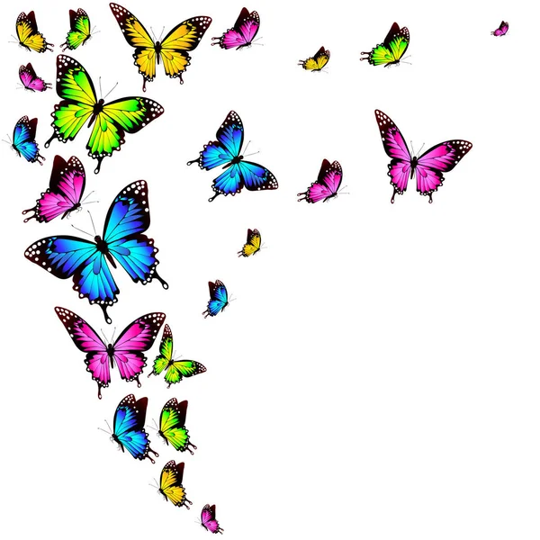 Postkarte Mit Sammlung Von Bunten Fliegenden Schmetterlingen Isoliert Auf Weißem — Stockvektor