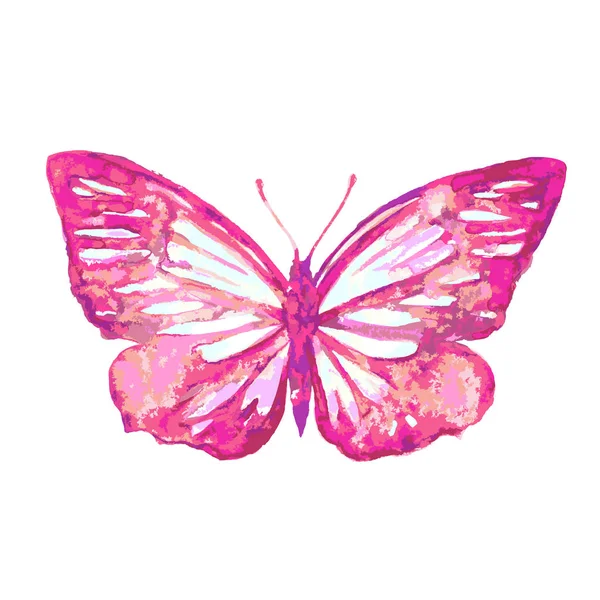 Farfalla Acquerello Luminoso Isolato Sfondo Bianco Vettore Illustrazione — Vettoriale Stock
