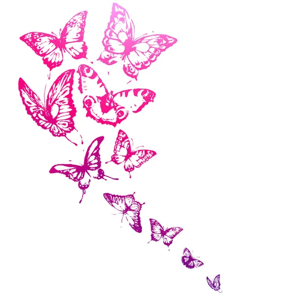 Postkarte Mit Einem Satz Rosa Fliegender Schmetterlinge Isoliert Auf Weißem — Stockvektor