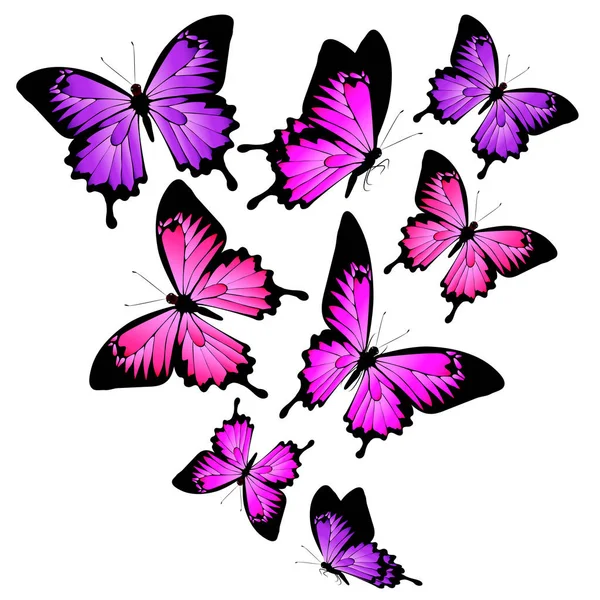 明信片与五颜六色的飞行蝴蝶收集在白色背景 例证隔绝了 — 图库矢量图片
