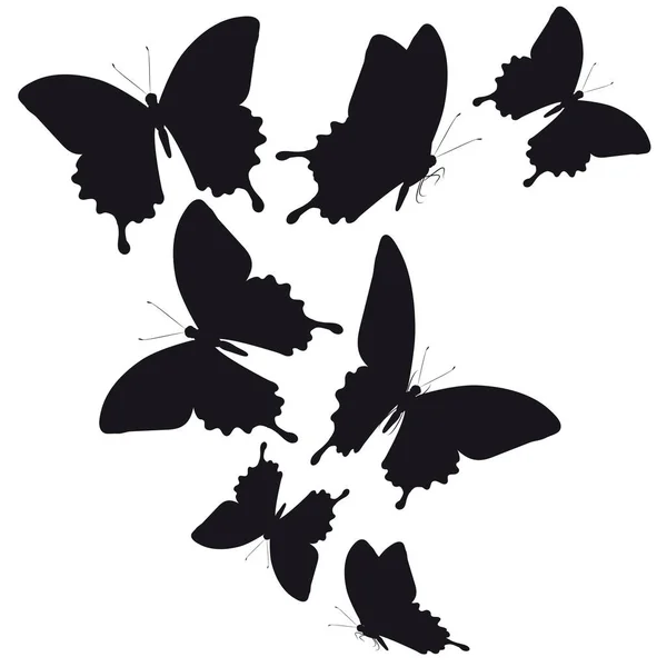 Post Kaart Met Collectie Van Zwarte Vliegen Vlinders Geïsoleerd Een — Stockvector