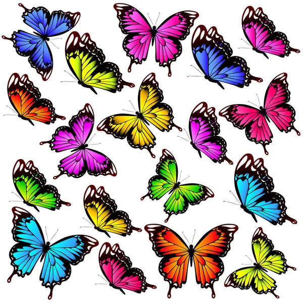 Post Kaart Met Collectie Van Kleurrijke Vliegende Vlinders Geïsoleerd Een — Stockvector