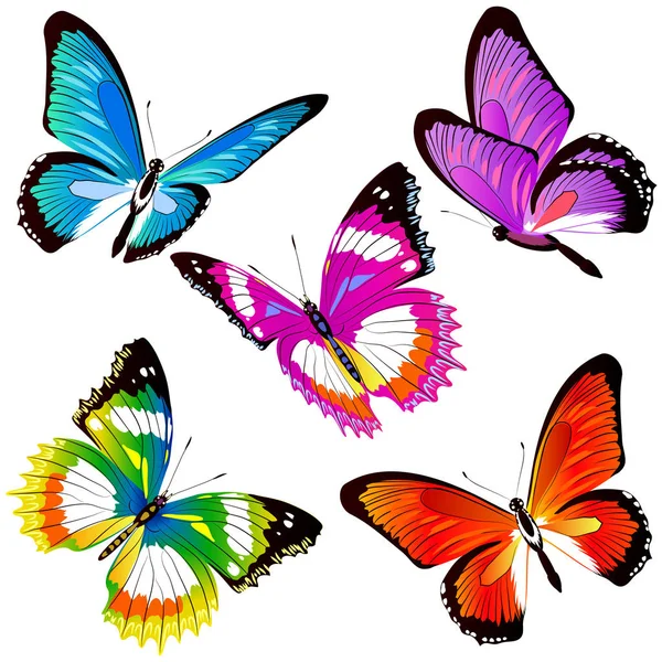 Поштова Листівка Колекцією Барвистих Літаючих Метеликів Ізольовані Білому Тлі Вектор — стоковий вектор