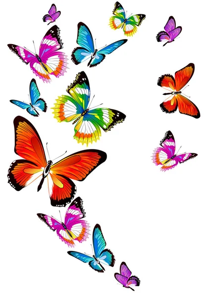 Ταχυδρομική Κάρτα Συλλογή Από Πολύχρωμες Πεταλούδες Πετούν Που Απομονώνονται Λευκό — Διανυσματικό Αρχείο