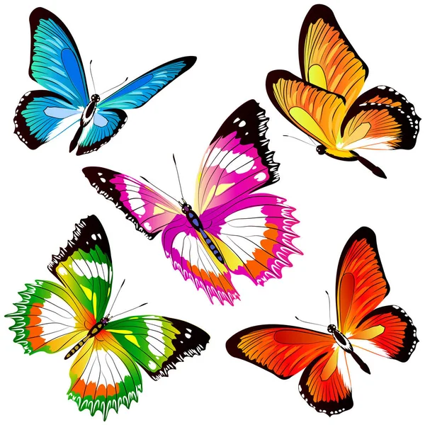 Postal Card Collection Colorful Flying Butterflies Isolated White Background Vector — Stock Vector