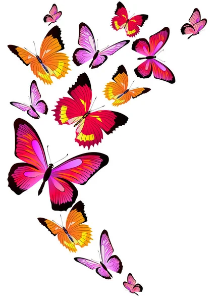 Hermosas Mariposas Voladoras Brillantes Aisladas Sobre Fondo Blanco Vector Ilustración — Vector de stock