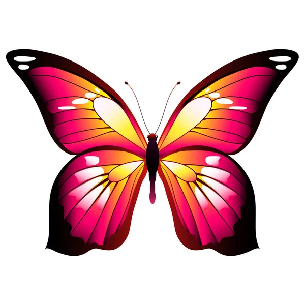 Mariposa Acuarela Rosa Naranja Aislada Sobre Fondo Blanco Vector Ilustración — Vector de stock