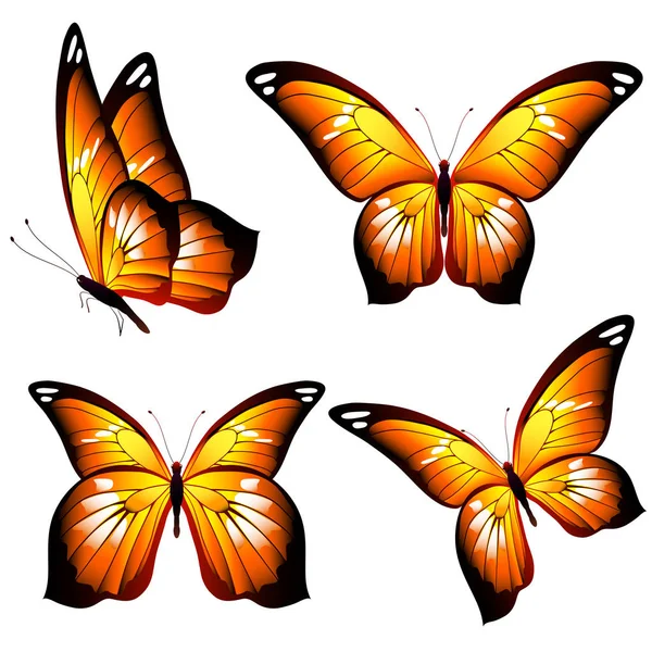 Collezione Farfalle Arancioni Estive Isolate Sfondo Bianco Vettore Illustrazione — Vettoriale Stock
