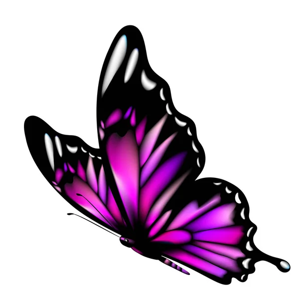 Papillon Violet Isolé Sur Fond Blanc Vecteur Illustration — Image vectorielle