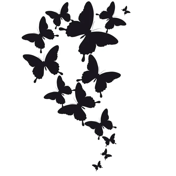 Carte Postale Avec Collection Papillons Volants Noirs Isolés Sur Fond — Image vectorielle