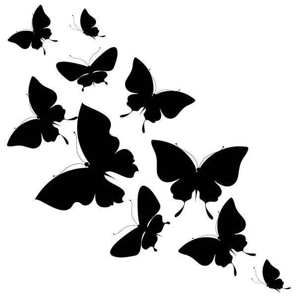 Pocztówka Kolekcji Black Latające Motyle Białym Tle Białym Tle Wektor — Wektor stockowy